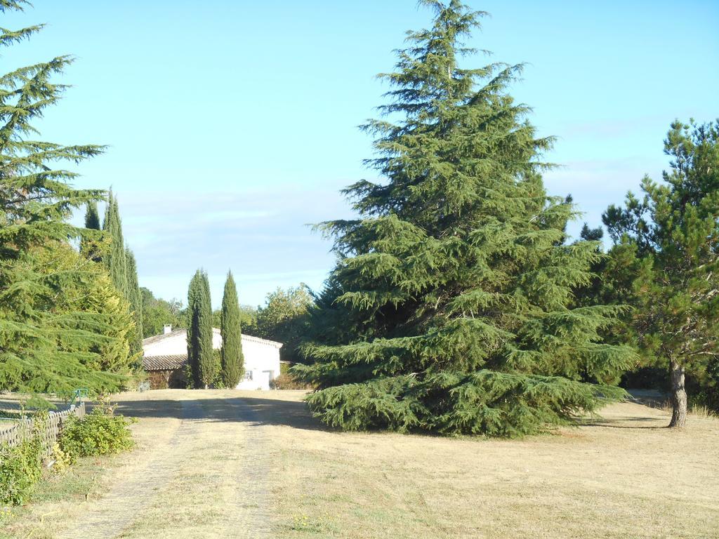 Bed and Breakfast Le Colombier Villeneuve-sur-Lot Esterno foto