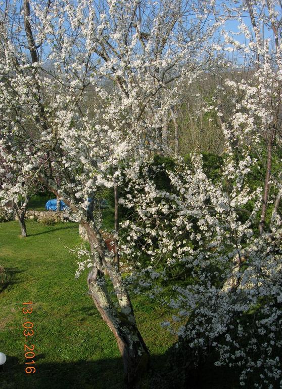 Bed and Breakfast Le Colombier Villeneuve-sur-Lot Esterno foto