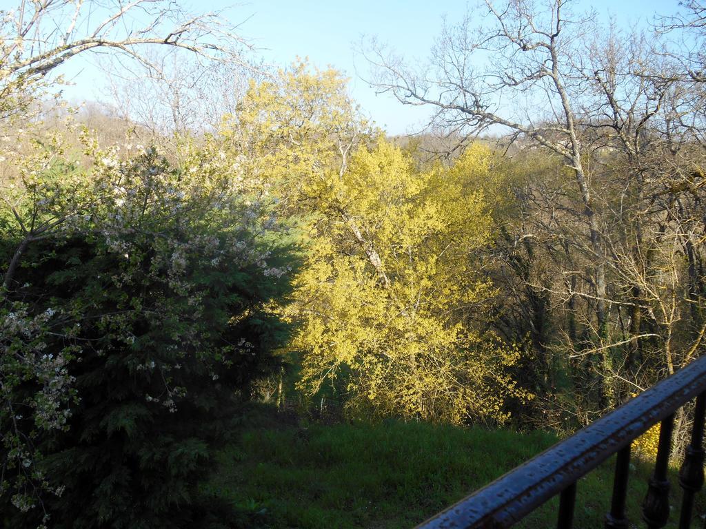 Bed and Breakfast Le Colombier Villeneuve-sur-Lot Esterno foto