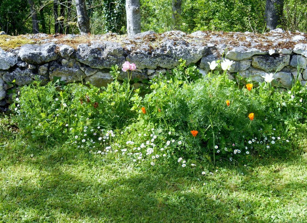 Bed and Breakfast Le Colombier Villeneuve-sur-Lot Esterno foto