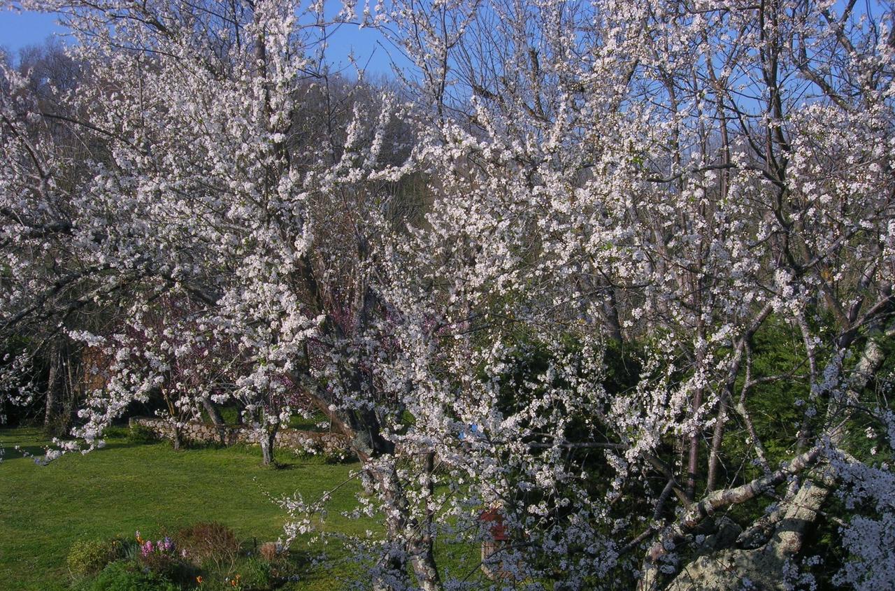 Bed and Breakfast Le Colombier Villeneuve-sur-Lot Esterno foto